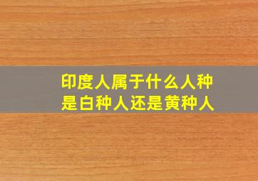 印度人属于什么人种 是白种人还是黄种人